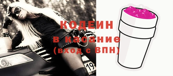 индика Пересвет