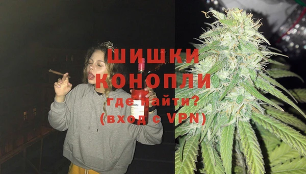 стаф Арсеньев
