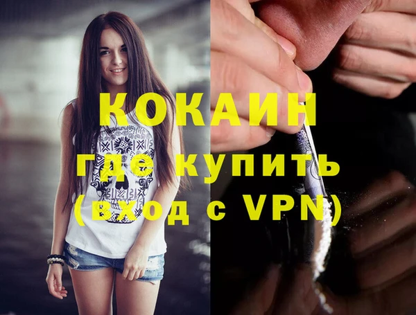 стаф Арсеньев