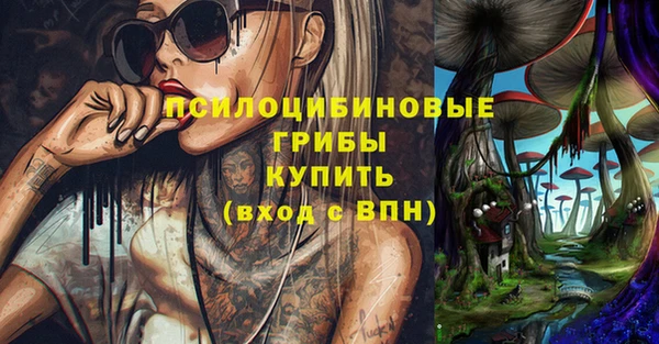 стаф Арсеньев