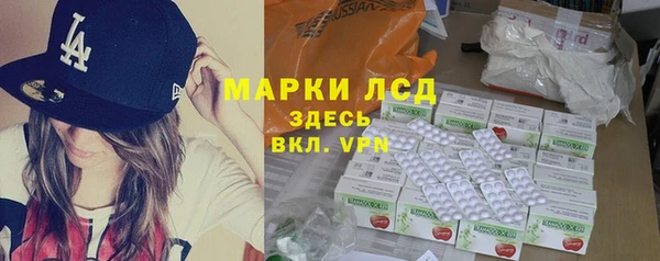 стаф Арсеньев