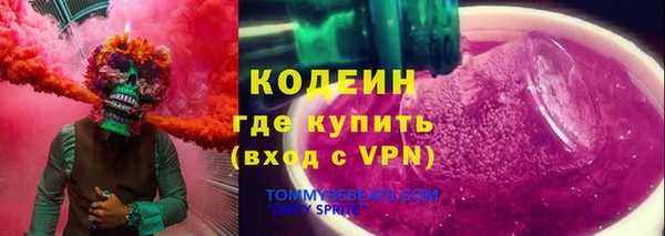 индика Балахна